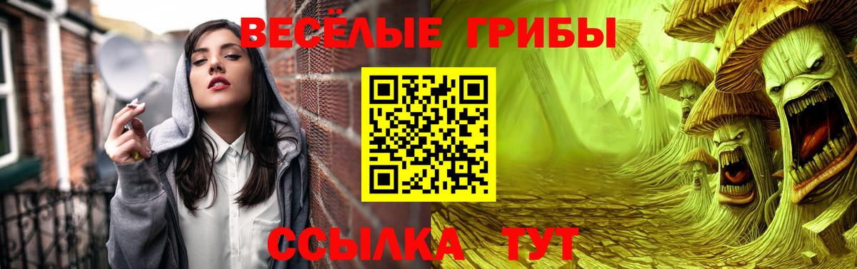 Псилоцибиновые грибы Magic Shrooms  Вход с VPN  Звенигород  Галлюциногенные грибы Cubensis 